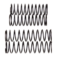 Rival MT10 Shock Spring Set