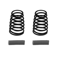 RC10F6 Side Springs, gray, 5.2 lb/in