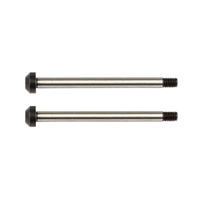 RC10B74 Rear Hub Hinge Pins