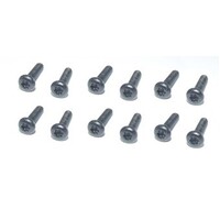 HAIBOXING 69597 PLUM BLOSSOM WASHER HEAD SCREW 2.5*14MM