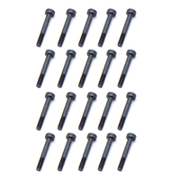 Socket Screw M2x14 (20)