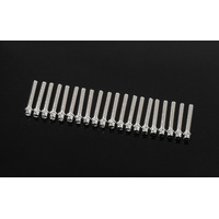 RC4WD Miniature Scale Hex Bolts (M2 x 12mm) (Silver)