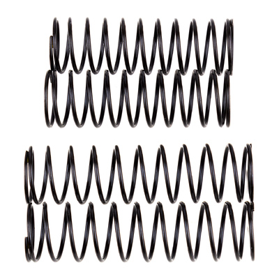 Rival MT10 Shock Spring Set