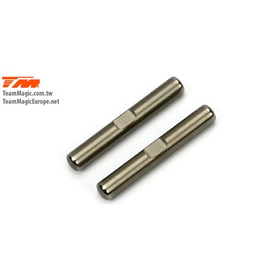 E4J Rear Lower Outer Hinge Pin (2)