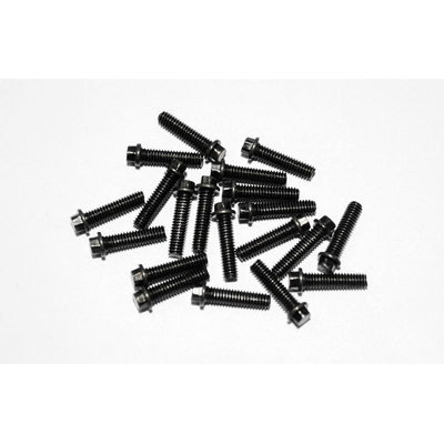 RC4WD Miniature Scale Hex Bolts (M2.5 x10mm) (Black)