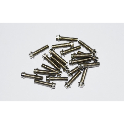 RC4WD Miniature Scale Hex Bolts (M2.5 x 10mm) (Silver)