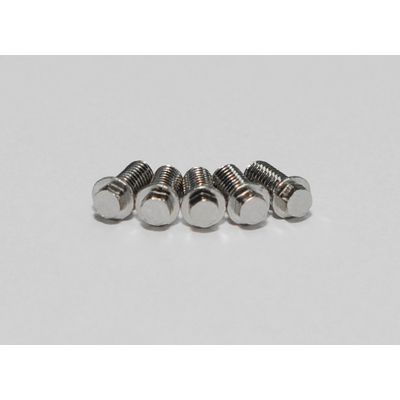 RC4WD Miniature Scale Hex Bolts (M3 x 6mm) (Silver)