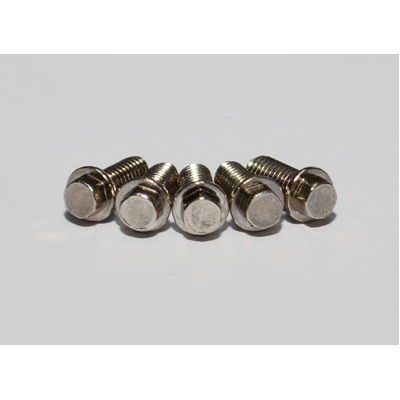 RC4WD Miniature Scale Hex Bolts (M2.5 x 6mm) (Silver)